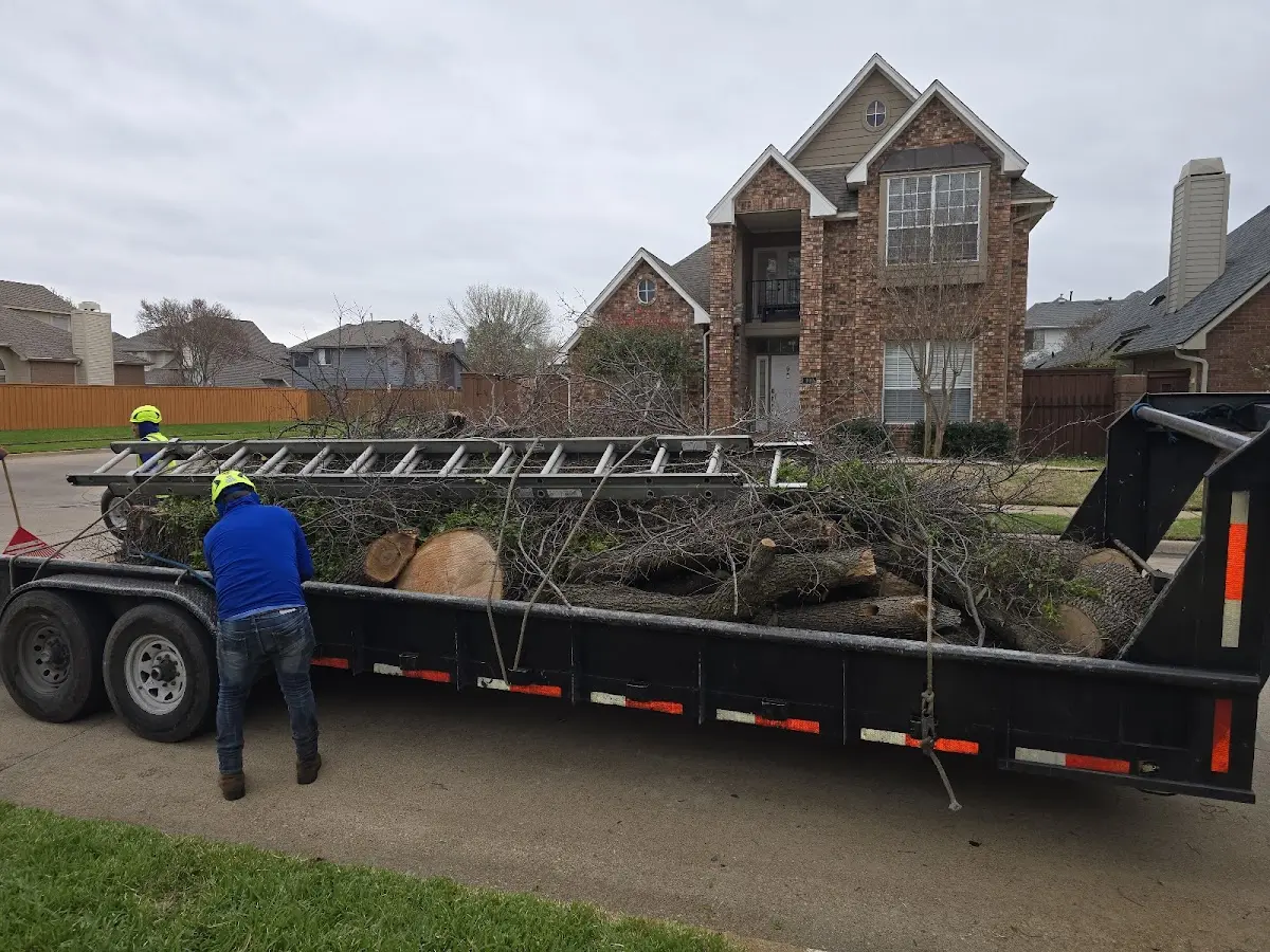 Expert Tree Fertilization with proper safety equipment in Ellis Grove